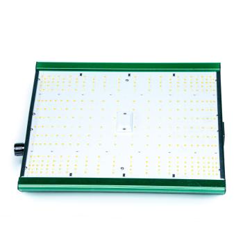 120 Watt Grow LED Haze Buster 1200